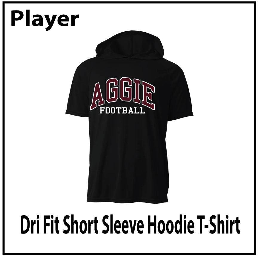Dri Fit Short Sleeve Hoodie TShirt