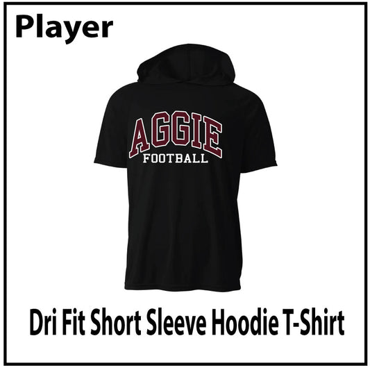 Dri Fit Short Sleeve Hoodie TShirt