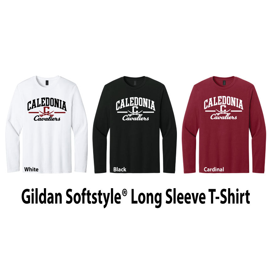 Gildan Softstyle Long Sleeve Tee